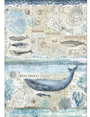 RICE PAPER - HISTORY OF THE WHALE - 29.7x42cm - STAMPERIA