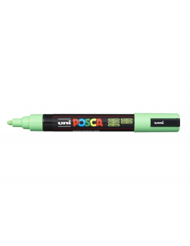 PC-5M-LIGHT GREEN-karlas-art-world