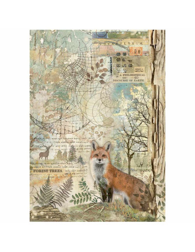 RICE PAPER - FOREST FOX - 21x29.7cm (Α4) - STAMPERIA